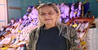 Bu Sezon Vatandaş Hamsiye Doyacak
