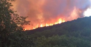 Kastamonuda Ormanlık Alanda Çıkan Yangın Devam Ediyor