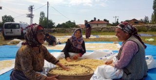 Kadınların Tarhana Mesaisi Başladı