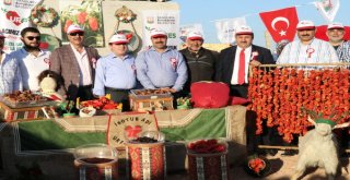 İsot Festivali Renkli Görüntülerle Başladı