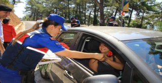 Sürücüye Kırmızı Karanfil, Çocuklara Kırmızı Düdük