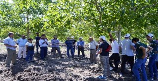 Çiftçiler Yeni Teknolojileri Öğreniyorlar
