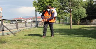 Aziziyede Kapsamlı İlaçlama Çalışması