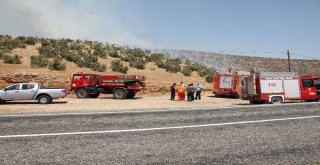 Midyatta Ormanlık Alanda Çıkan Yangın Sürüyor