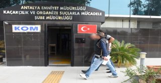 Antalya Merkezli Dört İlde Yapılan Eş Zamanlı Operasyonla Organize Suç Örgütü Çökertildi