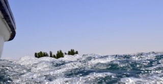 Sakarya Nehri Yeniden Doğuyor