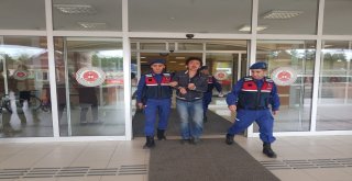 Kardeşini Öldüren Cinayet Şüphelisi: “Benim, Bir Suçum Yok. Biz, Bunu Bilerek Mi Yaptık” Dedi.