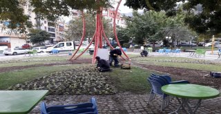 Yunusemrede Park Ve Bahçelere Kış Bakımı
