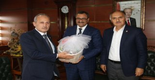 Ulaştırma Ve Altyapı Bakanı Turhan, Giresunda