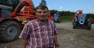 Fındık Patozcuları Sezondan Memnun Değil