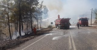 Antalyada Orman Yangını (1)