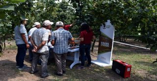 Ferrero, Fındık Üreticilerini Bahçelerde Bilgilendiriyor