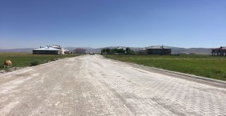 Çaldıranda Parke Taşı Yol Çalışması
