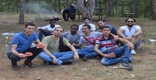 Uluslararası Öğrenciler Gürleyik Şelalesindeki Kardeşlik Pikniği Buluştu
