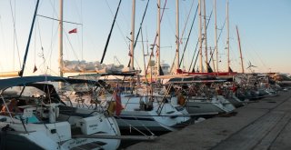 Yabancıları Karadenize Çekmek İçin Liman Liman Dolaştılar