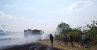 Tekirdağda 500 Dönüm Anız Kül Oldu