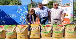 Büyükşehirin Çiftçilere Desteği Sürüyor