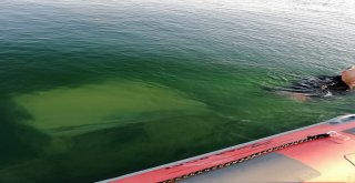 Barajdan Çalıntı Kamyonet Çıktı