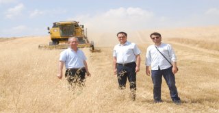 Bulanıkta Biçerdöverler Denetlendi