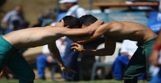 5. Uluslararası Altın Biber Festivali, Rüstem Pehlivan Yağlı Güreşleri İle Başladı