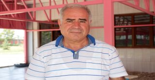 (Özel) Vanda Yüzücü Kediler Yetiştirilecek