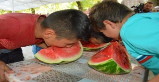 Manisanın En Güzel Kavun Ve Karpuzları Seçildi