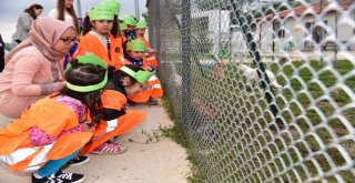 200 Anaokulu Öğrencisi Can Dostları İle Buluştu