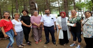 Samsunun Muhtarları Piknikte Buluştu