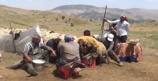 Yaylacıların Hayat Mücadelesi