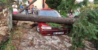 Kadirlide Yağmur Ve Fırtına Hayatı Felç Etti
