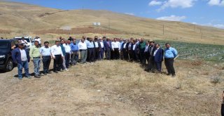 Türkiyenin En Soğuk İlçesinde Çilek Yetişti