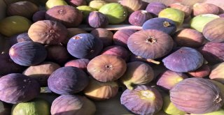 (Özel) Bitlis Ekonomisine İncir Ve Nar Desteği