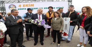 Körfezde Sokak Hayvanları Unutulmadı