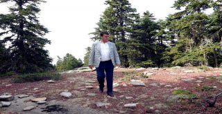 Uludağa “Endemik Park”