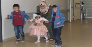 Felçli Minik Hira Yürümeye Başladı