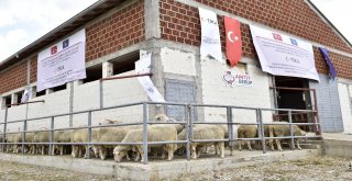 Tikadan Kosovalı Çiftçilere Destek