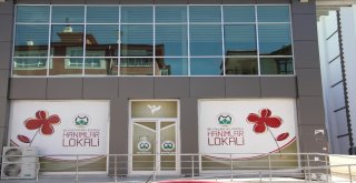 Hanımlar Lokaline İlgi Giderek Artıyor