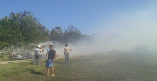 Atatürk Hatıra Ormanında Yangın: 400 Çam Kül Oldu