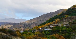 Gümüş Şehir Altın Rengine Büründü
