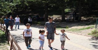 Gölcük Tabiat Parkında Hafta Sonu Yoğunluğu