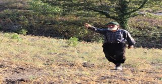 Hiç Evlenmedi, 30 Yıldır Dağda Tek Başına Yaşıyor