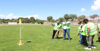 Kaçan Kurbanlıklar İçin Kurban Timi Oluşturuldu