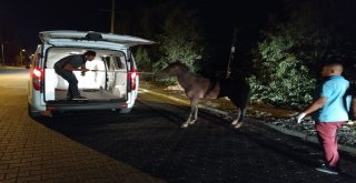 Yaralı Ata Aydın Büyükşehir Sahip Çıktı