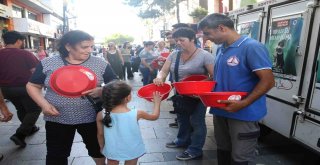 Sokak Hayvanları İçin ‘Yaz Seferberliği