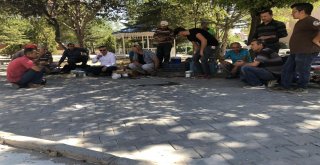 Belediye Başkanı Seçen, Hizmet Alanlarında İncelemelerine Devam Ediyor