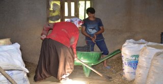 Muştan Almanyaya Tandır