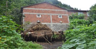 Orduda Heyelan Tehlikesi: 18 Ev Boşaltıldı