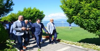 Valiye Çinide Üzüm