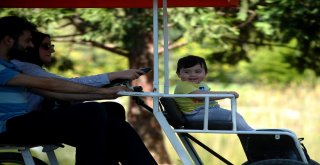 Kurban Bayramında Hayvanat Bahçesine Yoğun İlgi