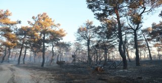 Çanakkalede Orman Yangını Kontrol Altında